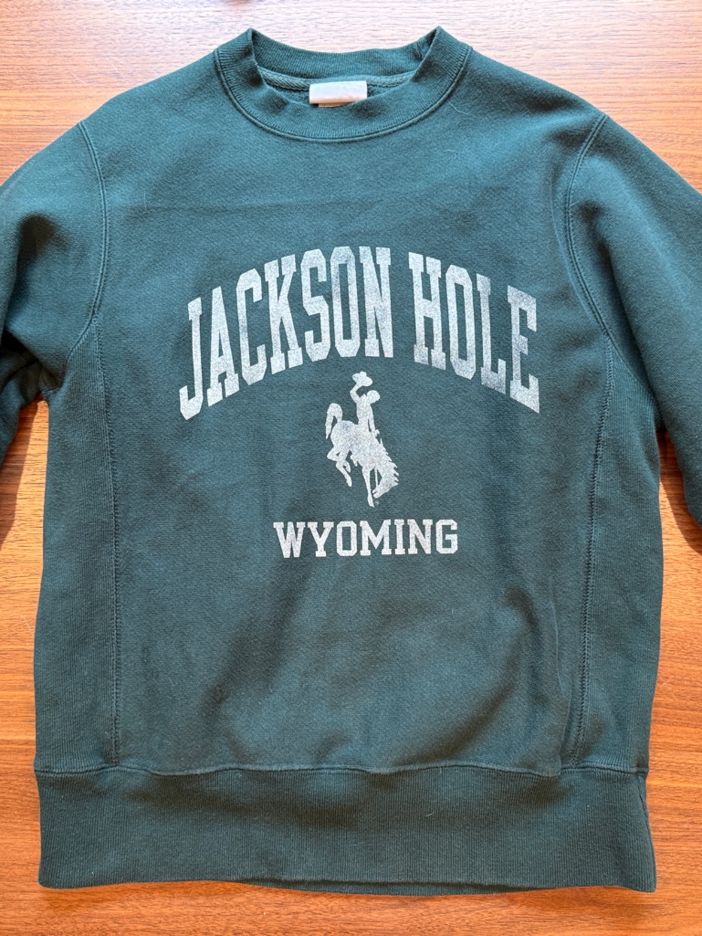 Champion Dark Green Jackson Hole Wyoming Crewneck Sweatshirt